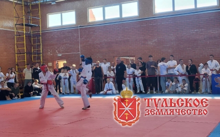 Турнир по рукопашному бою